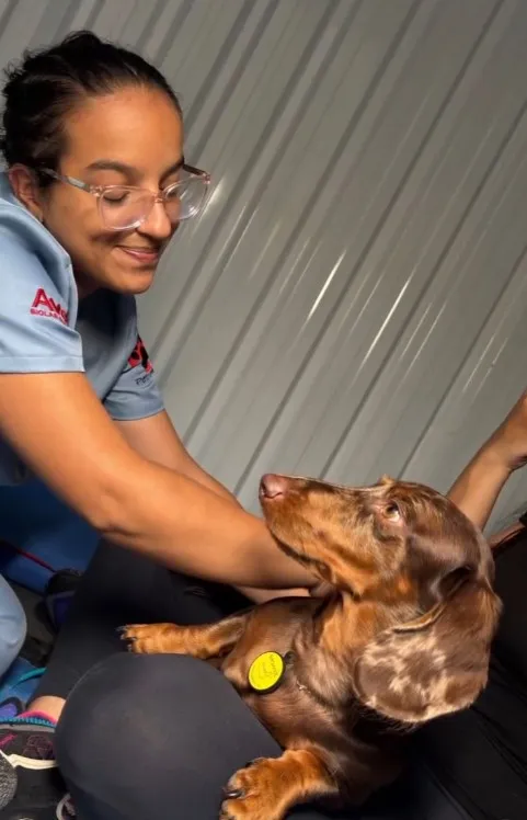 Centro de Reabilitação Veterinária Flor de Lótus - Serviços para Pets em Itatiba em Itatiba, SP
